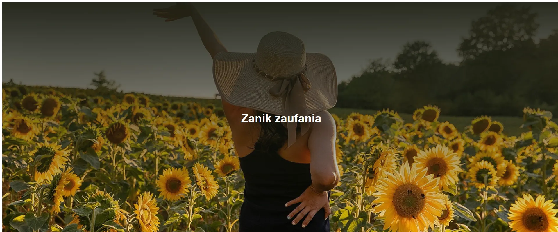 Zanik zaufania